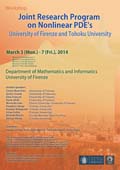 PDF of poster on Joint Research Program on Nonlomomear PDEs University of Firenze and Tohoku University